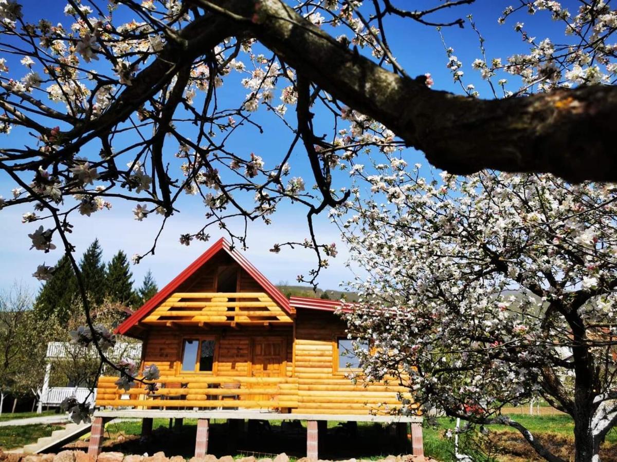 Wooden House "Una" Kulen Vakuf Extérieur photo